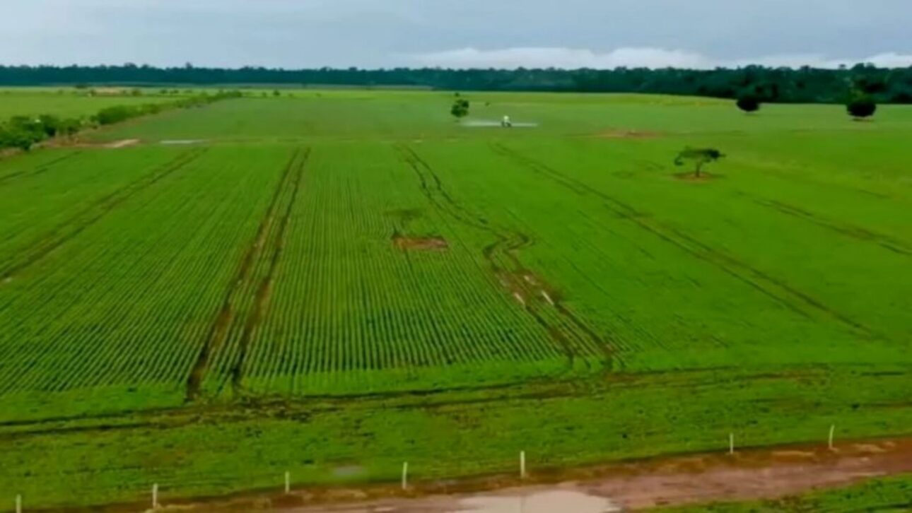 Aos 61 anos, Tarcísio Filho deixou as novelas para tocar a fazenda de 10 mil hectares no Pará que herdou do pai, com gado, milho e soja.