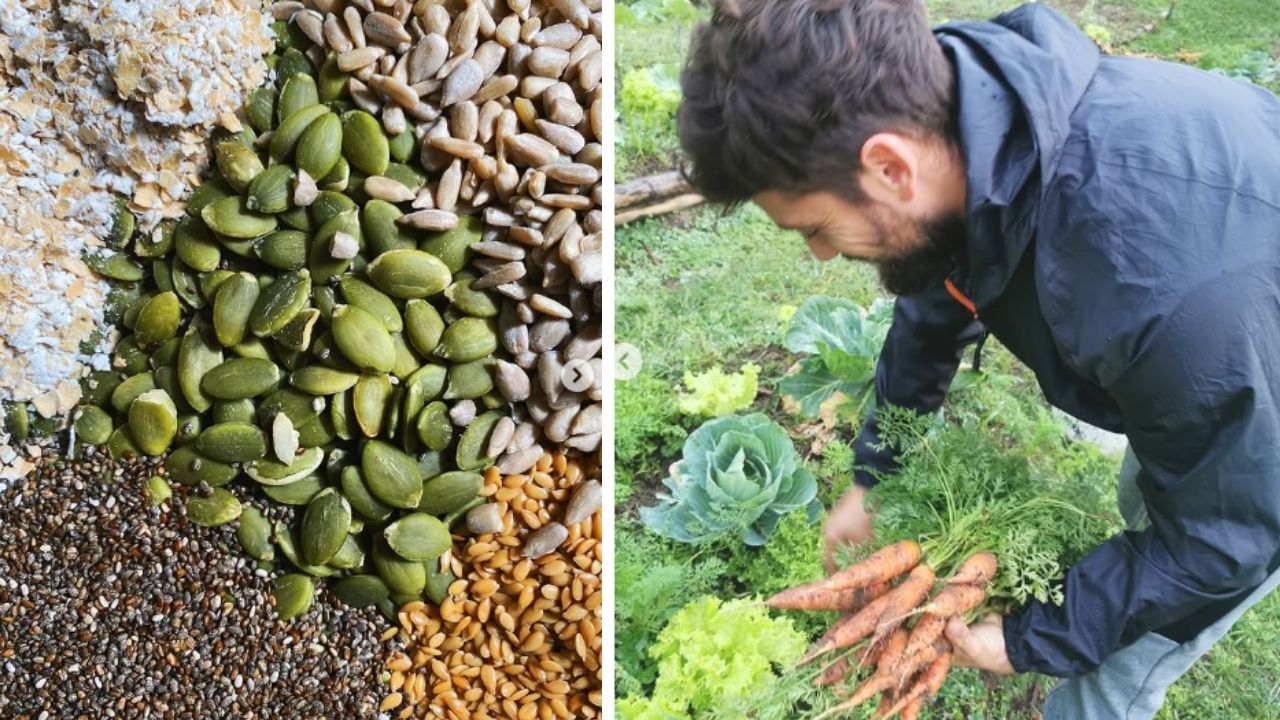 Rafael Cardoso fez da Fazenda Casulo um projeto de agrofloresta e agricultura sustentável, com alimentos orgânicos vendidos em cestas no Rio.