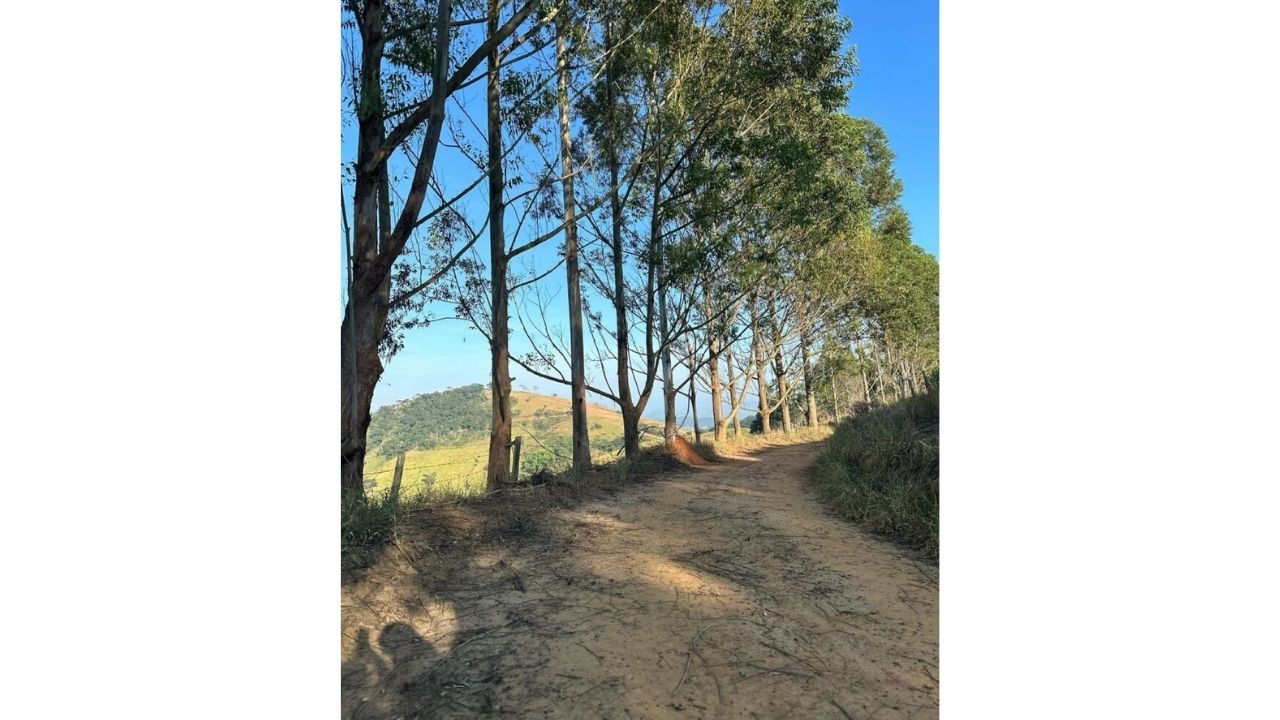 Fernanda Rodrigues transforma 40 hectares em cafezal agroflorestal, recupera nascentes e passa a produzir café especial após plantar 120 mil árvores.