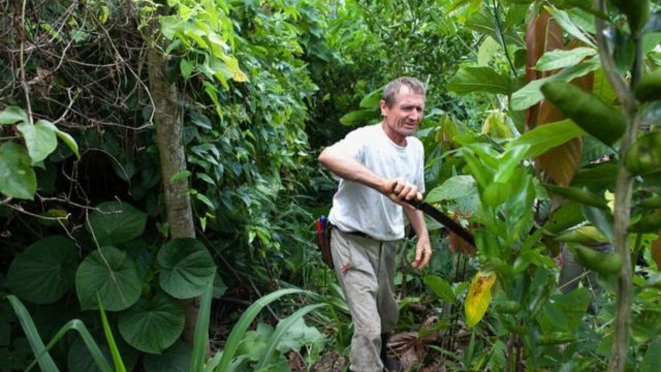 Fazenda Tupã recupera solo e nascentes no Tocantins com agricultura sintrópica, ILPF, reflorestamento e diversificação produtiva rural.