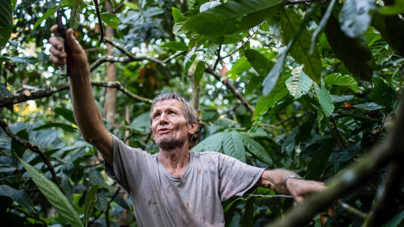 Fazenda Tupã recupera solo e nascentes no Tocantins com agricultura sintrópica, ILPF, reflorestamento e diversificação produtiva rural.