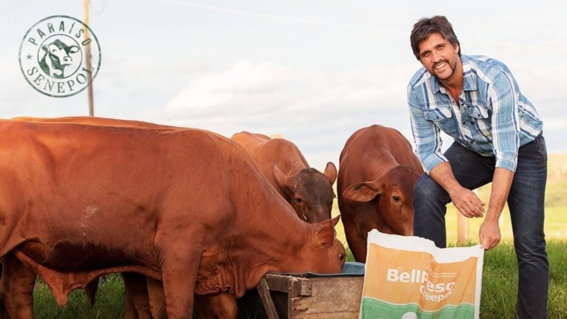 Léo Chaves transforma a Fazenda Paraíso, em Uberlândia, em negócio de genética bovina com criação de Senepol e leilões especializados.