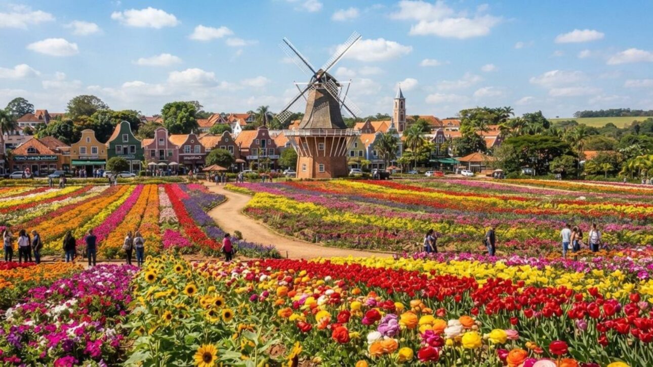 Holambra reúne flores, herança holandesa, moinho de 38 metros e Expoflora com mais de mil variedades, fortalecendo turismo e cultura.
