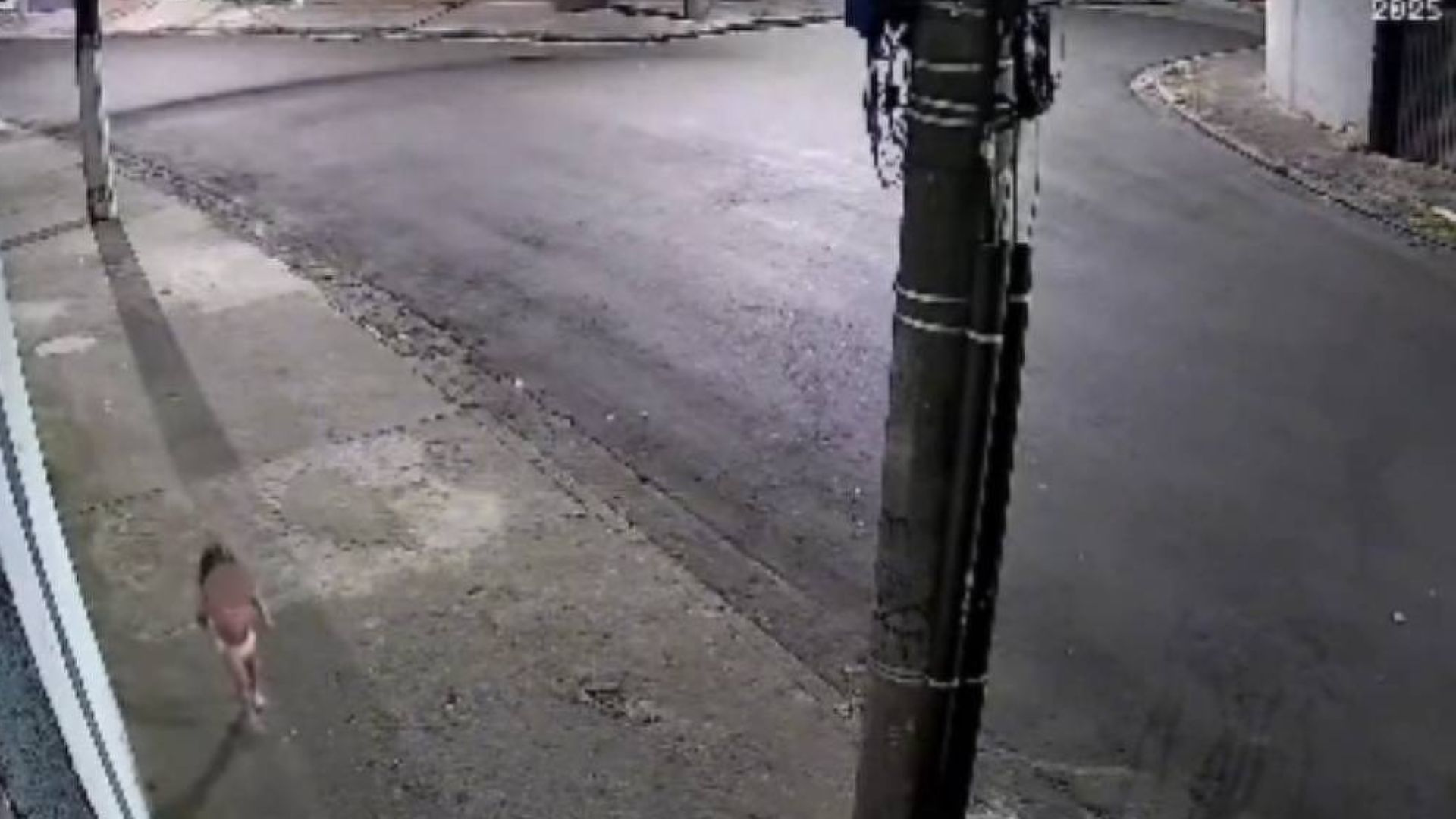 Menina de 3 anos sai sozinha de casa durante a madrugada vestindo apenas uma fralda, é encontrada chorando e com muito frio na rua e funcionários
