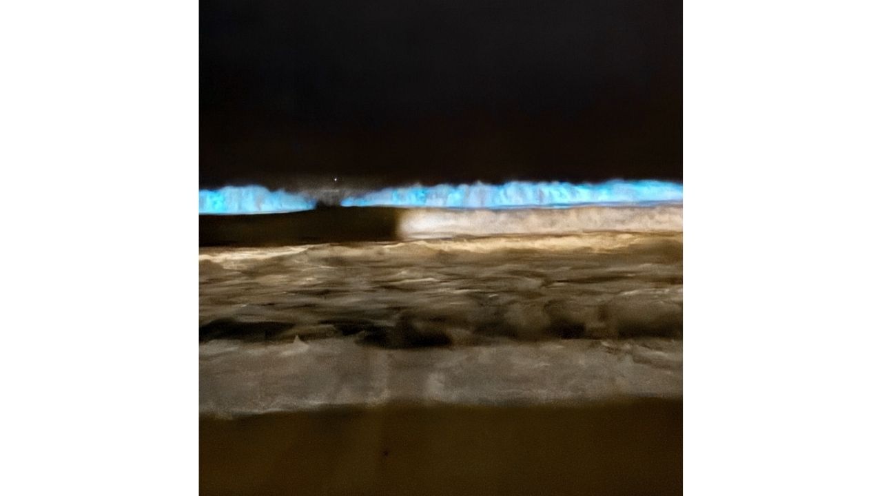 Em Santa Catarina, ondas azuis fluorescentes revelam bioluminescência do Noctiluca scintillans em São Francisco do Sul por horas ou dias.