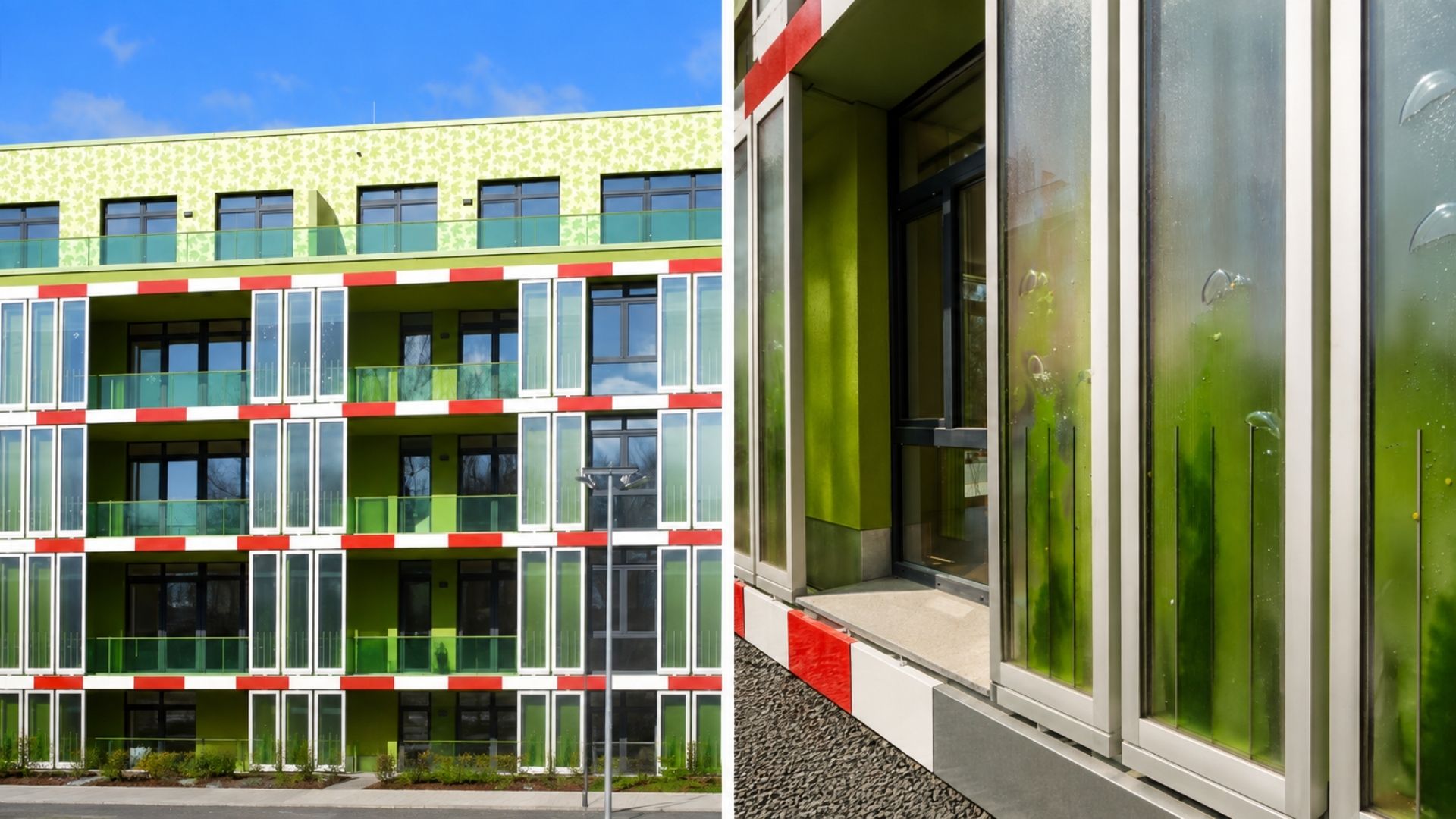 Microalgas vivas dentro de 129 painéis de vidro geram calor e biomassa em prédio de Hamburgo, na primeira fachada bioreatora construída no mundo.