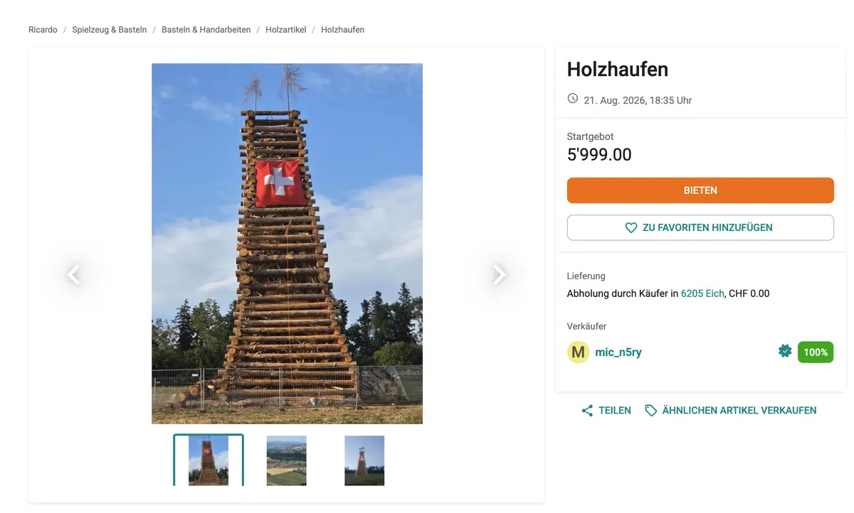 Anúncio no Ricardo ofereceu a torre de madeira construída em Eich por lance inicial de 5.999 francos suíços. Crédito: Reprodução/Ricardo via Zentralplus