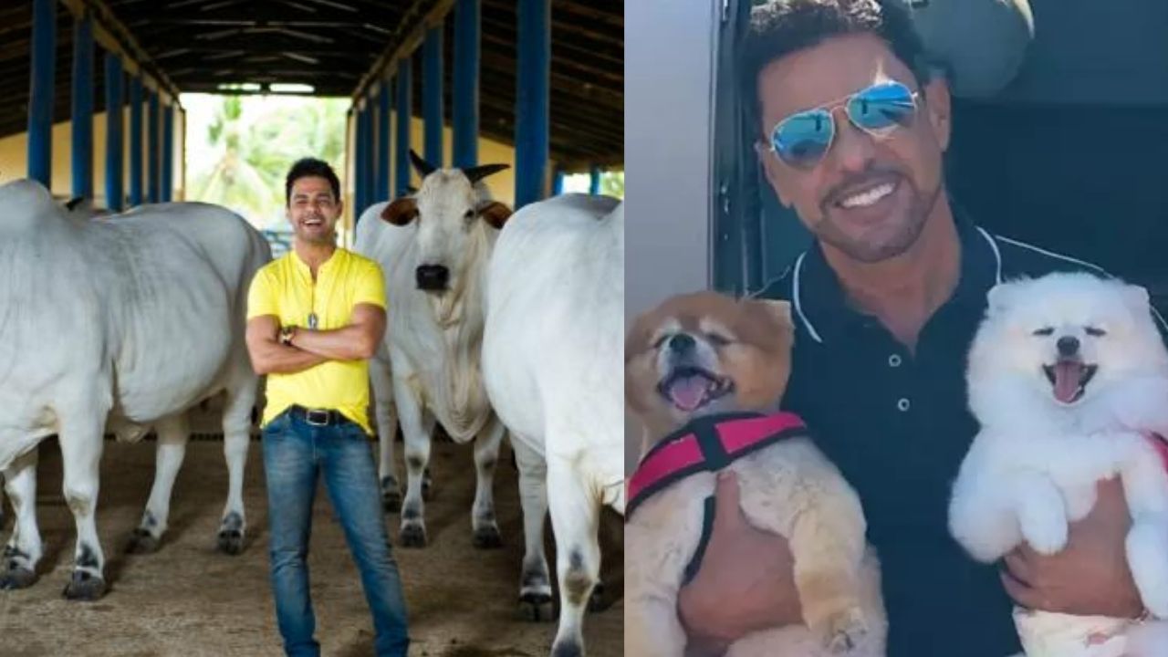 Zezé Di Camargo proibiu o abate de animais em sua fazenda, trocou parte da pecuária pela produção de soja e melhoramento genético, construiu um canil e transformou a propriedade