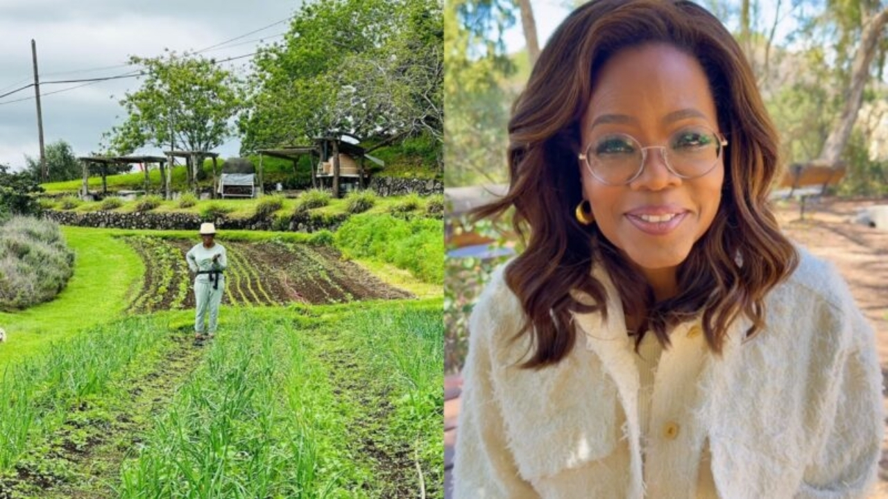 Oprah Winfrey mantém um refúgio de quase 1.000 acres em Maui, no Havaí, onde cultiva alimentos e mantém uma extensa horta orgânica.