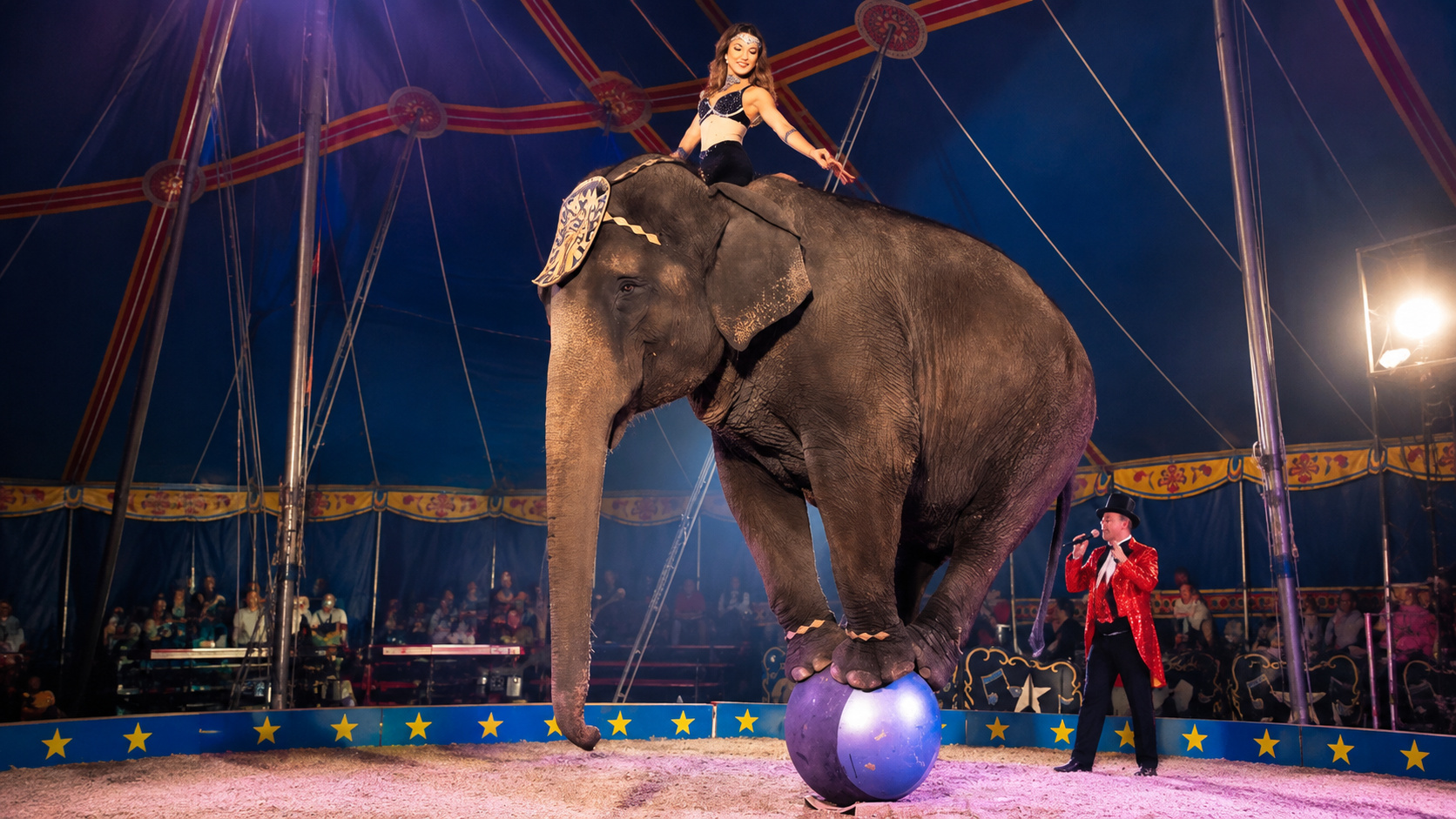 Elefanta em apresentação de circo equilibrada sobre uma bola, cena ilustrativa relacionada à trajetória de Okha.