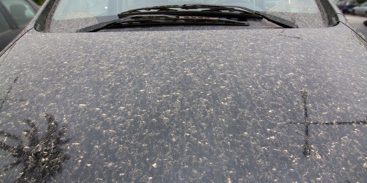 Capô de carro coberto por partículas de poeira saariana transportadas pelos ventos até regiões distantes.