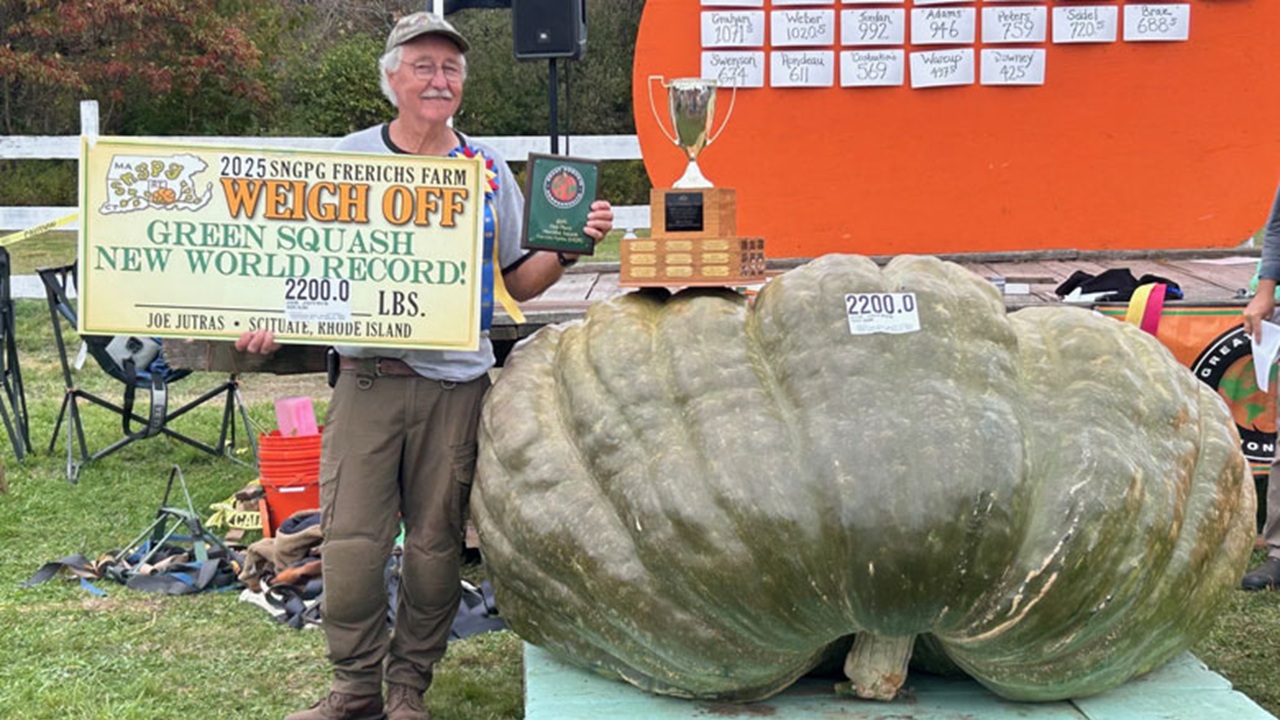 abóbora gigante