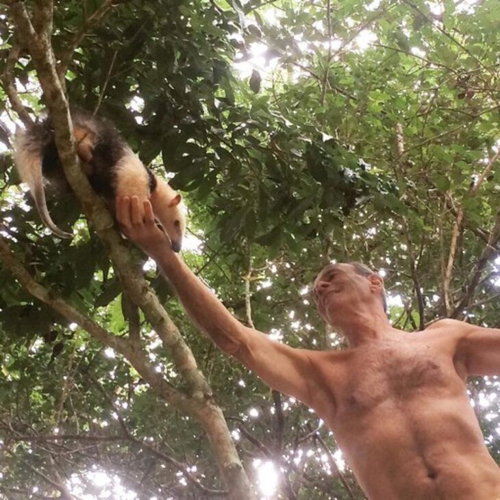 Ney Matogrosso auxilia um filhote de tamanduá-mirim em uma árvore na propriedade cercada pela Mata Atlântica, em Saquarema.