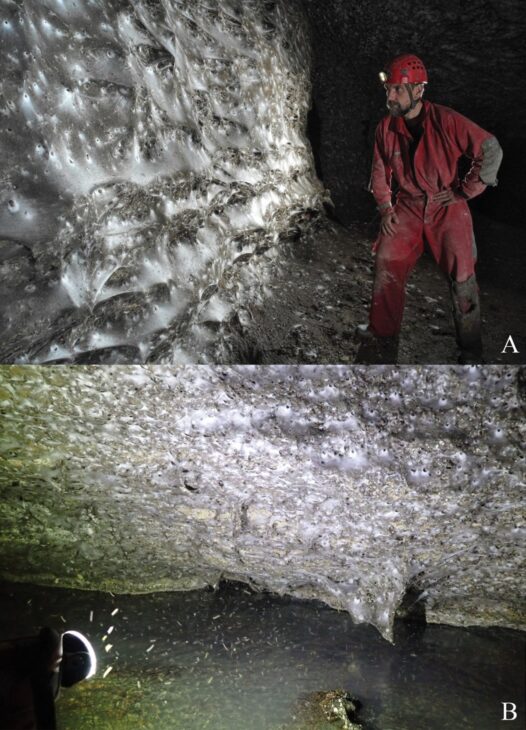 Pesquisador diante de parede coberta por teias e aranhas no interior isolado da Caverna de Enxofre.