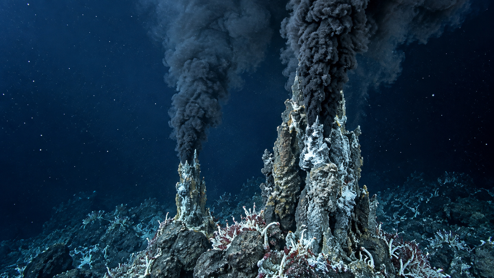 A milhares de metros de profundidade, chaminés do oceano liberam fluidos de até 464 °C sem ebulição e sustentam vida onde a luz do Sol nunca chega