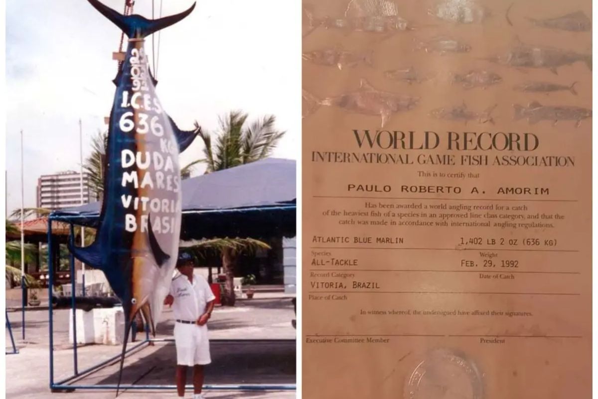 Paulo Roberto Almeida Amorim fisgou em 29 de fevereiro de 1992, no ES, o maior marlim-azul do mundo: 636 kg e 4,62 m. Foram 28 homens para tirar o peixe da água.