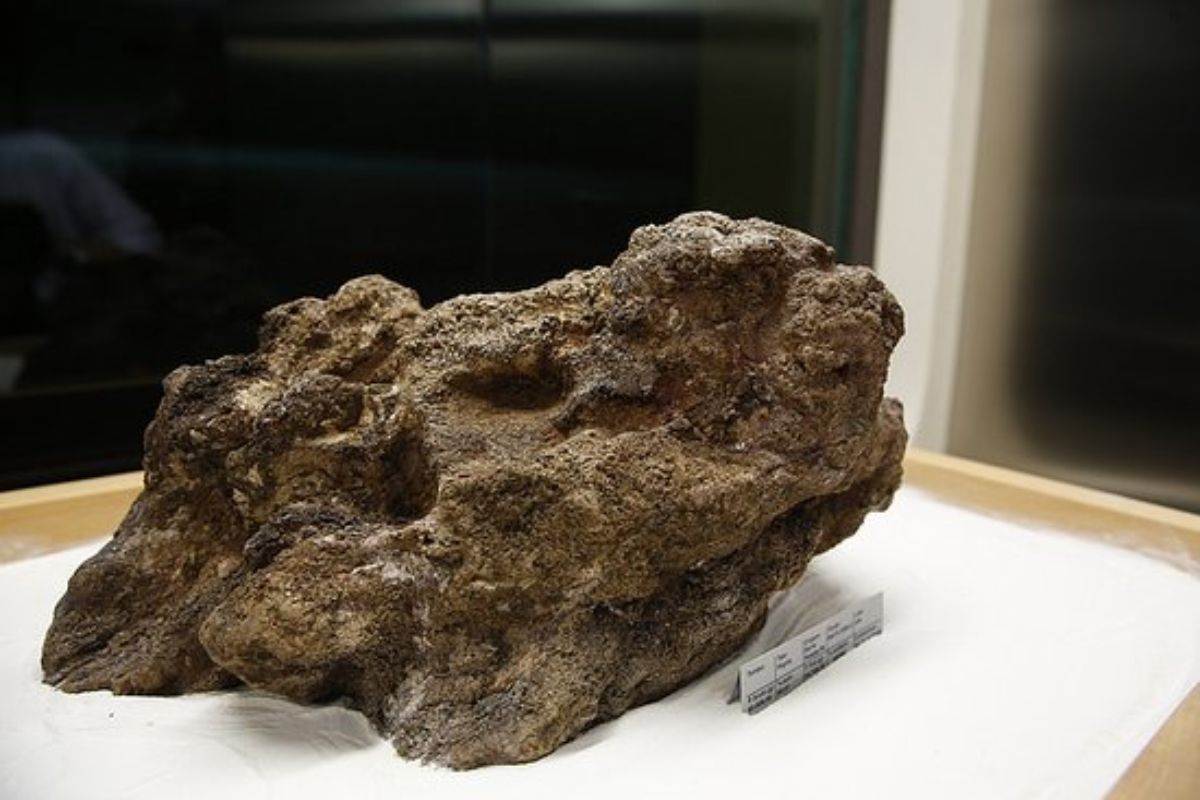 Júlio de Deus Filho achou em 13 de setembro de 1983, em Serra Pelada, a Pepita Canaã: 60,8 kg brutos e 56,61 kg de ouro, parte de uma pedra de 150 kg. É a maior pepita em exposição no mundo.
