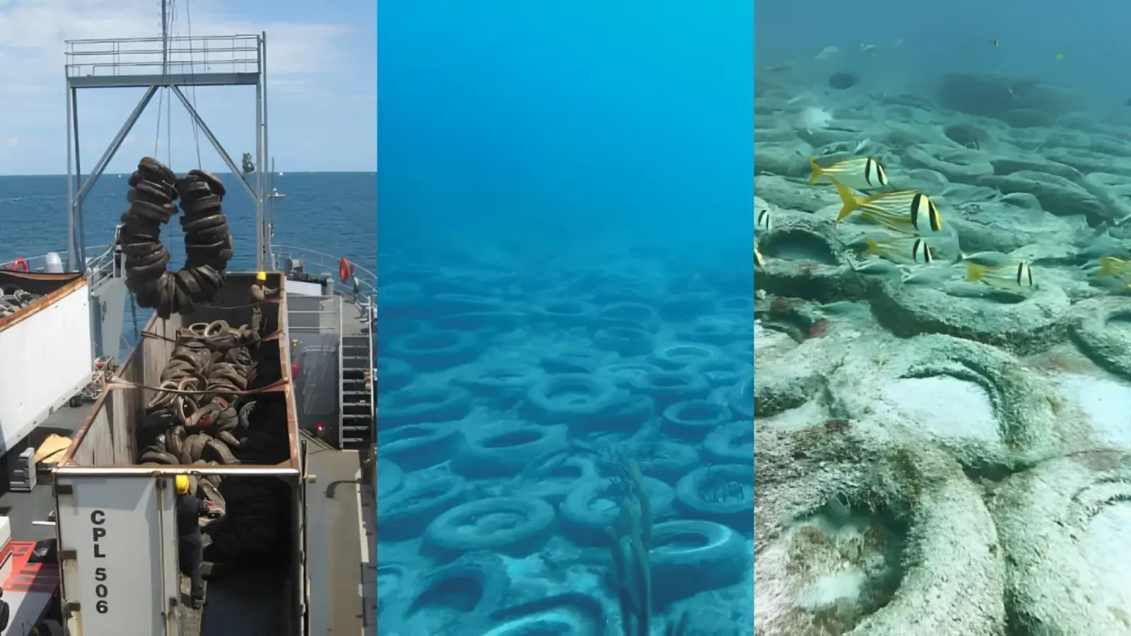 EUA lançaram pneus e estruturas de concreto no mar em 1978, e o projeto virou habitat para peixes, lagostas, tubarões e mais de 18 espécies marinhas