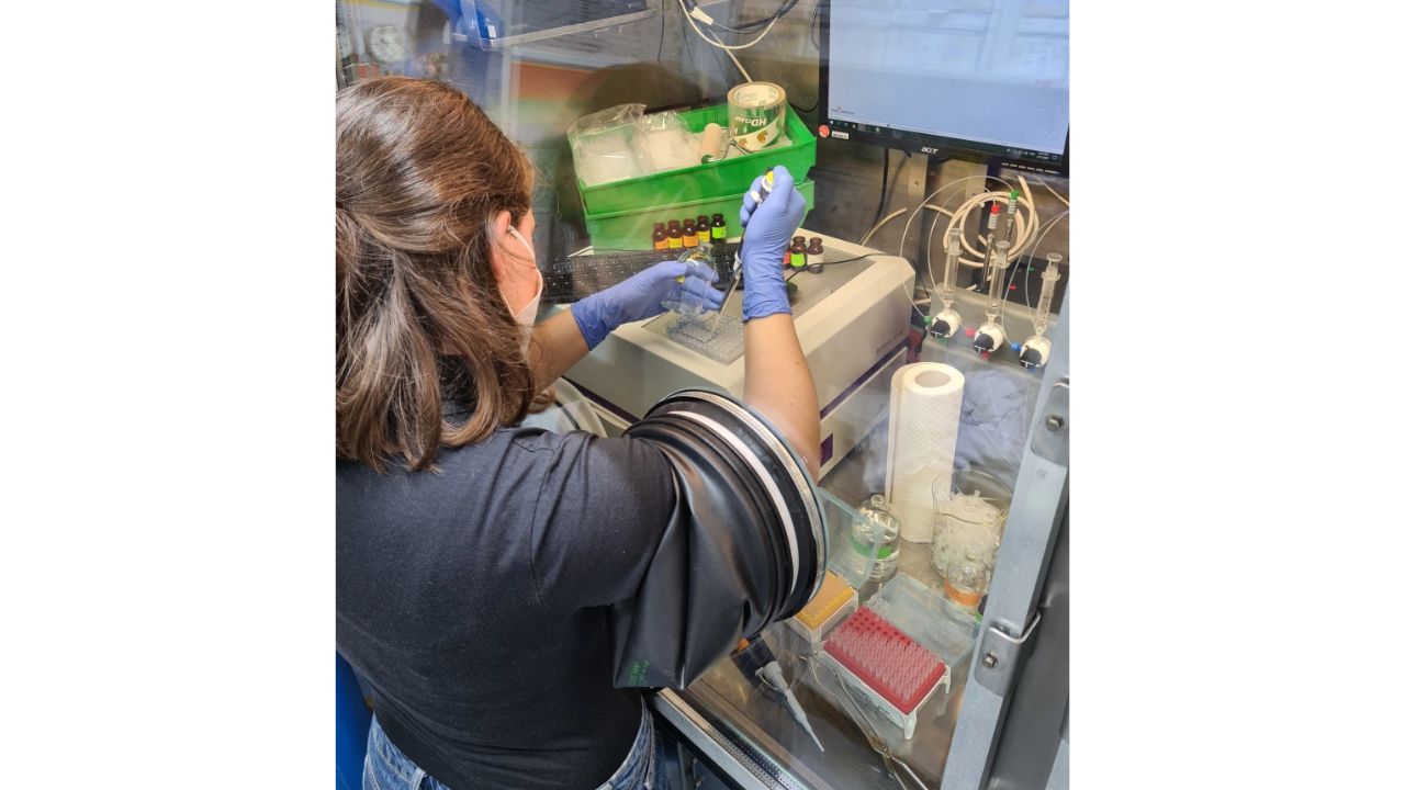 Enzima de microrganismo marinho resiste a temperaturas próximas de 100 °C e ajuda cientistas a investigar como o nitrogênio é convertido em amônia.