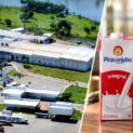 Piracanjuba assume laticínio da Complem em Morrinhos, preserva 200 empregos e prevê ampliar capacidade para 600 mil litros por dia. - Imagem: Ilustrativa via I.A
