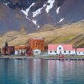 Grytviken fica próxima a King Edward Point, na Geórgia do Sul, onde o acesso marítimo e o isolamento moldam a rotina local. (Imagem: Getty Images